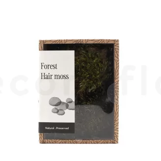 Preserved Hair Moss (Creabox S)