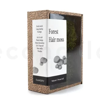 Preserved Hair Moss (Creabox S)