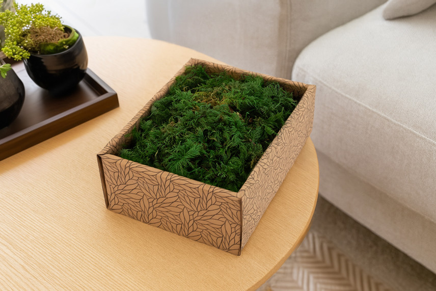 Preserved Fern Moss - Creabox S - Green