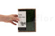 Preserved Fern Moss (Creabox S) 5