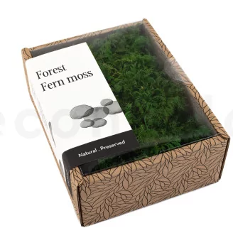 Preserved Fern Moss (Creabox S)