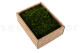 Preserved Long Moss - Creabox S - Green 4