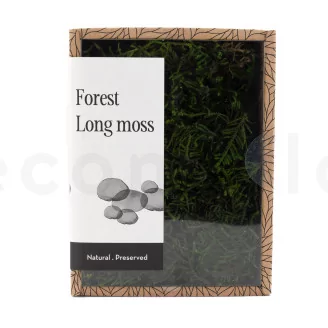 Preserved Long Moss (Creabox S)