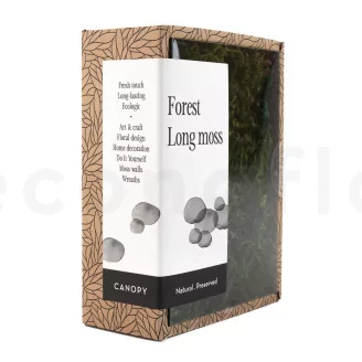 Preserved Long Moss (Creabox S)