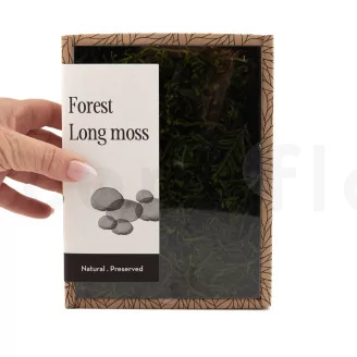 Preserved Long Moss (Creabox S)