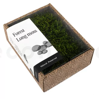 Preserved Long Moss (Creabox S)