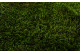Preserved Long Moss (Creabox S) 3