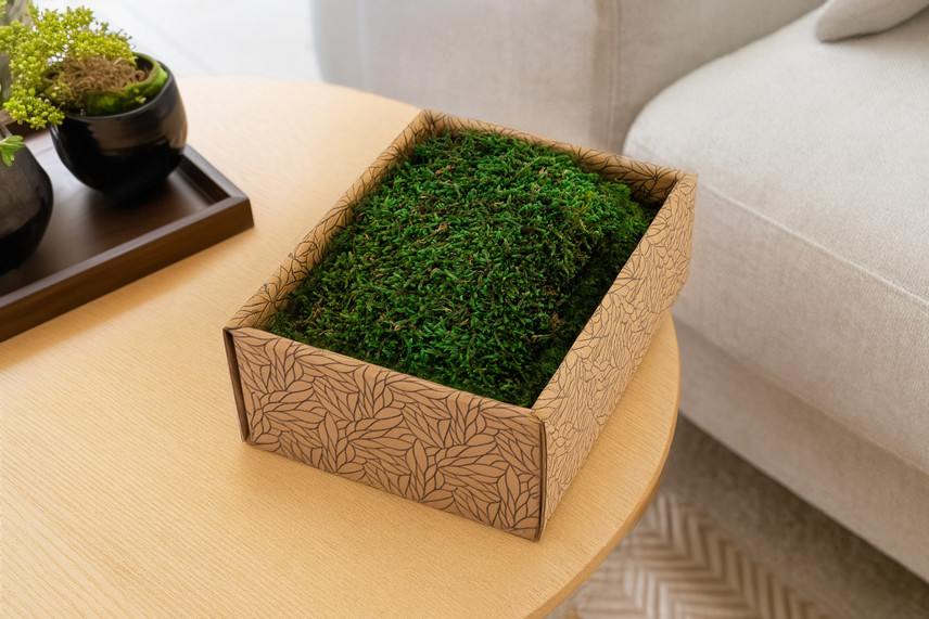 Preserved Sheet Moss - Creabox S - Green