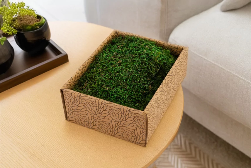 Preserved Sheet Moss (Creabox S)