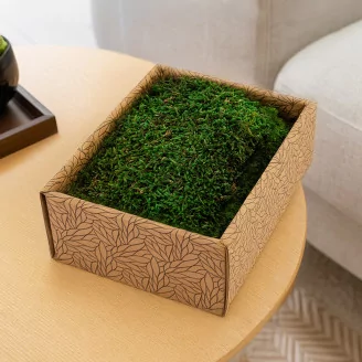 Preserved Sheet Moss (Creabox S)