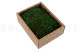 Preserved Sheet Moss - Creabox S - Green 5