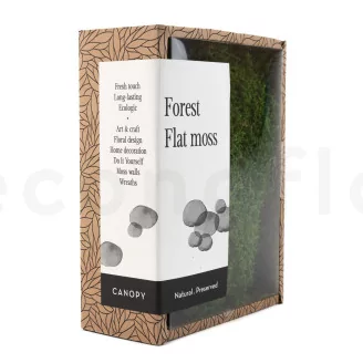 Preserved Sheet Moss (Creabox S)