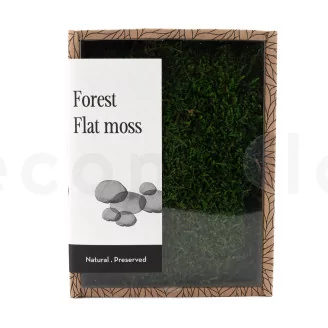 Preserved Sheet Moss (Creabox S)
