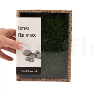 Preserved Sheet Moss (Creabox S)