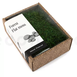 Preserved Sheet Moss (Creabox S)