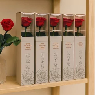 Preserved Rose on Stem 12" Red - Individual Gift Box (set of 25)