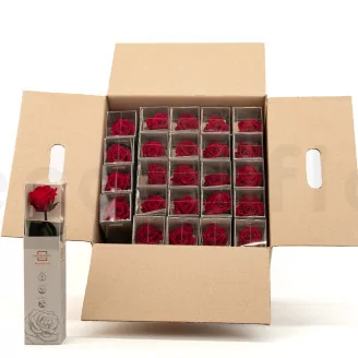 Preserved Rose on Stem 12" Red - Individual Gift Box (set of 25)