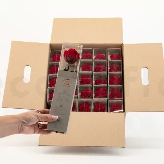 Preserved Rose on Stem 12" Red - Individual Gift Box (set of 25)