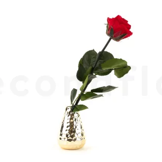 Preserved Rose on Stem 12" Red - Individual Gift Box (set of 25)