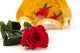 Preserved Roses on stem 12" - Gift Box 25 Units - Red 11