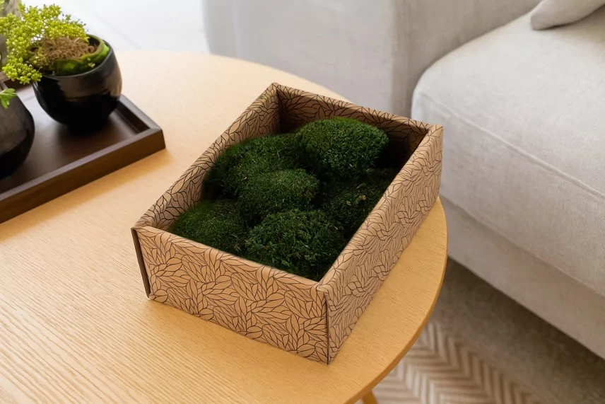 Preserved Mini Pole Moss Nature Green (Creabox S)