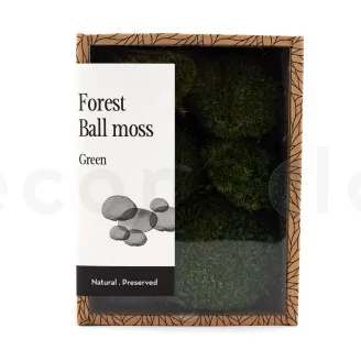 Preserved Mini Pole Moss Nature Green (Creabox S)