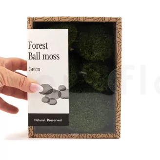 Preserved Mini Pole Moss Nature Green (Creabox S)