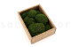 Preserved Mini Pole Moss Nature Green (Creabox S) 4
