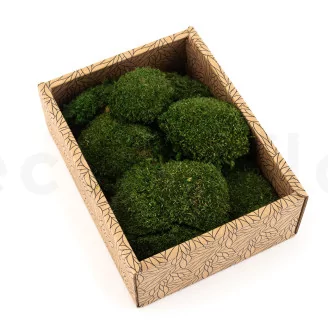 Preserved Mini Pole Moss Nature Green (Creabox S)