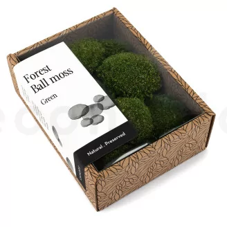 Preserved Mini Pole Moss Nature Green (Creabox S)