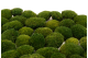 Preserved Mini Pole Moss Nature Green (Creabox S) 3