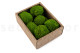 Preserved Mini Pole Moss - Creabox S - Light Green 5
