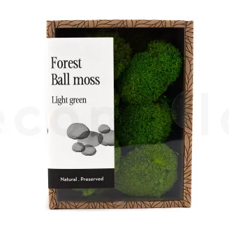 Preserved Mini Pole Moss Light Green (Creabox S)