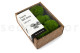 Preserved Mini Pole Moss Light Green (Creabox S) 2