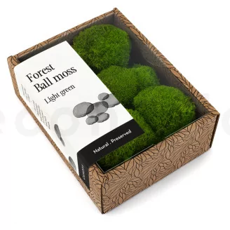 Preserved Mini Pole Moss Light Green (Creabox S)