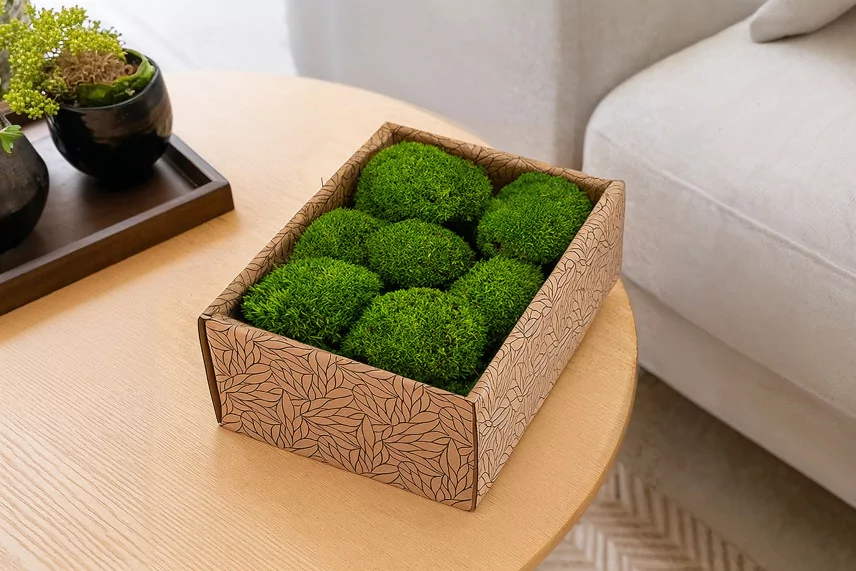 Preserved Mini Pole Moss Light Green (Creabox S)
