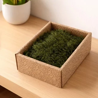 Preserved Air Fern Green (Creabox S)