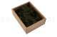 Preserved Air Fern Green (Creabox S) 4