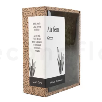 Preserved Air Fern Green (Creabox S)