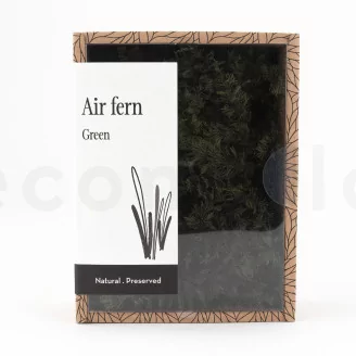 Preserved Air Fern Green (Creabox S)