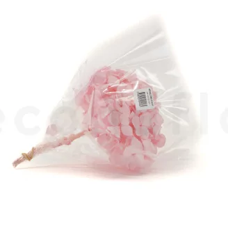Preserved Hydrangea Bridal Pink