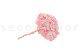 Preserved Hydrangea Kiara - Bridal Pink 10