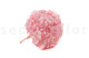 Preserved Hydrangea Bridal Pink 5