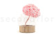 Preserved Hydrangea Bridal Pink 7