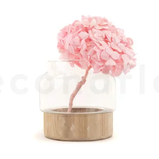 Preserved Hydrangea Bridal Pink