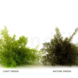 Preserved Air Fern Light Green (Creabox S)