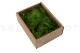 Preserved Air Fern Light Green (Creabox S) 4