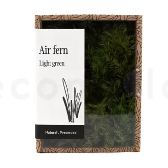 Preserved Air Fern Light Green (Creabox S)
