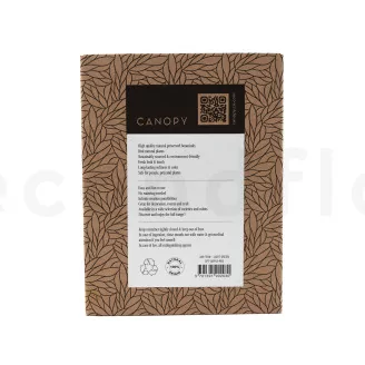 Preserved Air Fern Light Green (Creabox S)