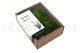 Preserved Air Fern Light Green (Creabox S) 2